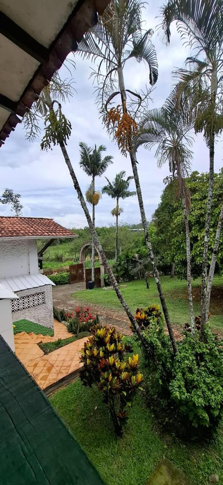 Villa Juana Hotel Cerritos Dış mekan fotoğraf